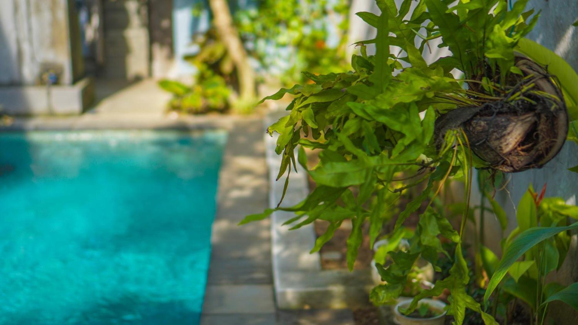Dirga'S House Sanur View By Eps Exterior foto